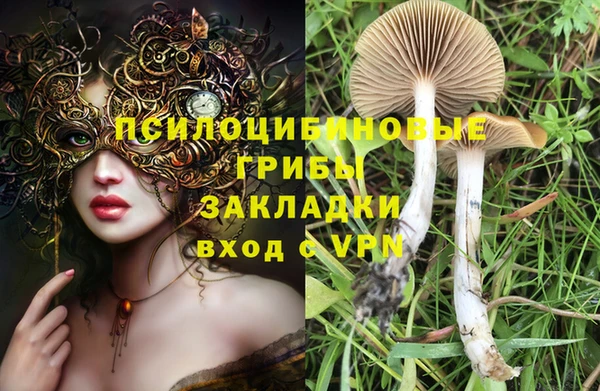 мескалин Вязьма