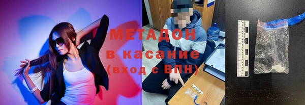 шишки Тында